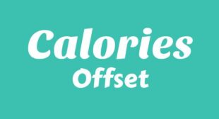 Calories Song Lyrics