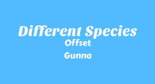Different Species Lyrics