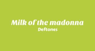 Milk of the madonna Song Lyrics