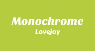 Monochrome Song Lyrics