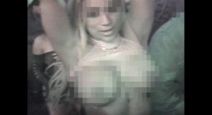 NCAA (English Translation) Lyrics – Clarent