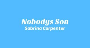 Lyrics of Never Getting Laid Song