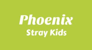 Phoenix Lyrics – Stray Kids