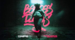 RAPUJ KURWO (BEDOES DISS) Song Lyrics