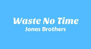Waste No Time Lyrics
