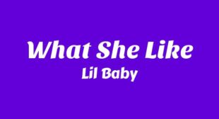 Lyrics of What She Like Song