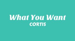 Lyrics of What You Want (English Translation) Song