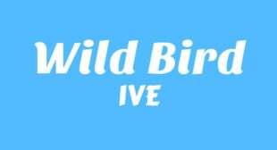 Wild Bird (English Translation) Song Lyrics