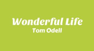 Wonderful Life Song Lyrics