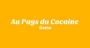 Au Pays du Cocaine Lyrics – Geese