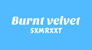 Burnt velvet Song Lyrics