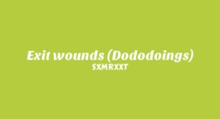 Lyrics of Exit Wounds (Dododoings) Song
