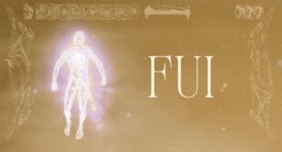 Lyrics of FUI (English Translation) Song