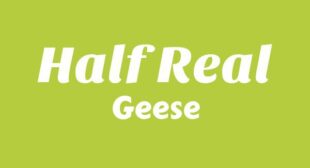 Half Real Song Lyrics