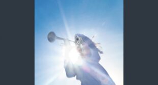 Lyrics of Half Real Song