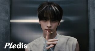 Lyrics of Head Shoulders Knees Toes (English Translation) Song