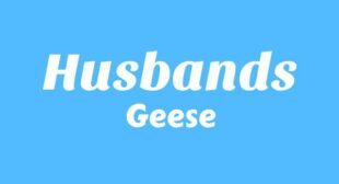 Husbands Song Lyrics
