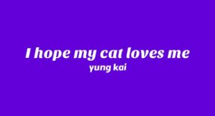 Lyrics of I Hope My Cat Loves Me Song