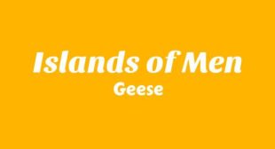 Islands of Men Lyrics