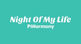 Lyrics of Night Of My Life Song