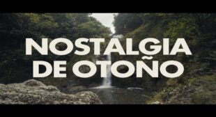 Nostalgia de Otono (English Translation) Lyrics – Rauw Alejandro