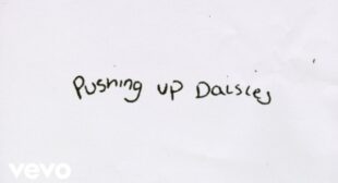 Pushing Up Daisies Song Lyrics