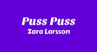 Lyrics of Puss Puss Song