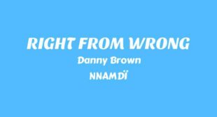 RIGHT FROM WRONG Lyrics – Danny Brown