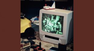 Stupid Brain Song Lyrics