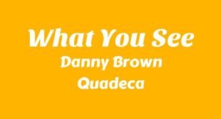 What You See Lyrics – Danny Brown