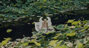 ALMA (English Translation) Song Lyrics