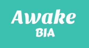 Awake Lyrics – BIA