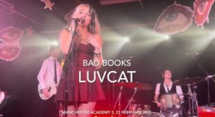 Lyrics of Bad Books Song