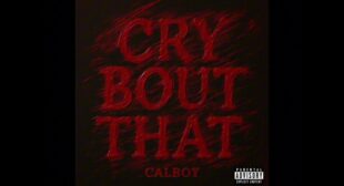 Lyrics of Cry Bout That Song