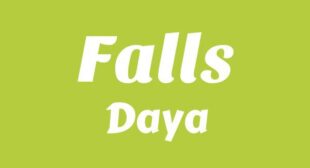 Falls Song Lyrics