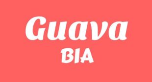 Guava Lyrics