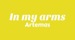 Lyrics of In My Arms Song