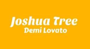 Lyrics of Love Tug of War (English Translation) Song