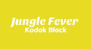 Jungle Fever Song Lyrics