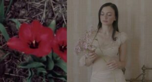 Lyrics of Lose Control Song