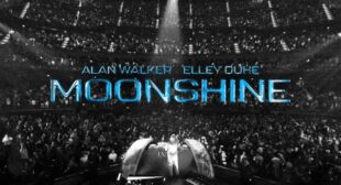 Moonshine Lyrics – Alan Walker