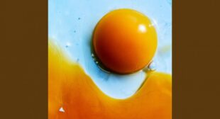 MOUNTAIN VANILLA (English Translation) Lyrics – RADWIMPS