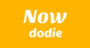 Now Lyrics – dodie