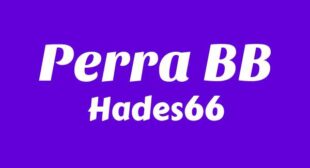 Perra BB (English Translation) Song Lyrics