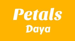 Petals Lyrics – Daya