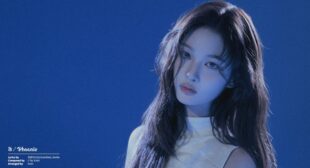 Phoenix (English Translation) Lyrics