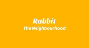 Rabbit Song Lyrics