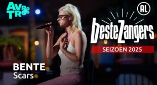 Lyrics of Scars Song