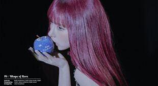 Lyrics of Shape of Love Song