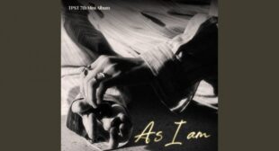 Silly Kid (English Translation) Lyrics